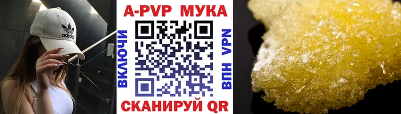 Где купить наркоту Кондопога А ПВП Каннабис Меф Псилоцибиновые грибы КОКАИН ГАШ