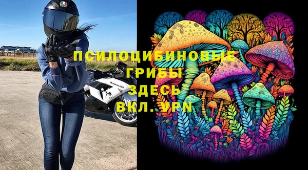 винт Алзамай