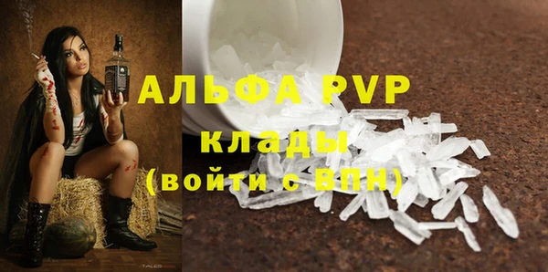 винт Алексин