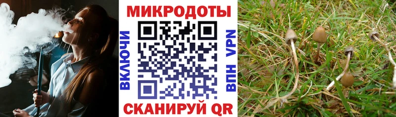 Псилоцибиновые грибы GOLDEN TEACHER  Кондопога 